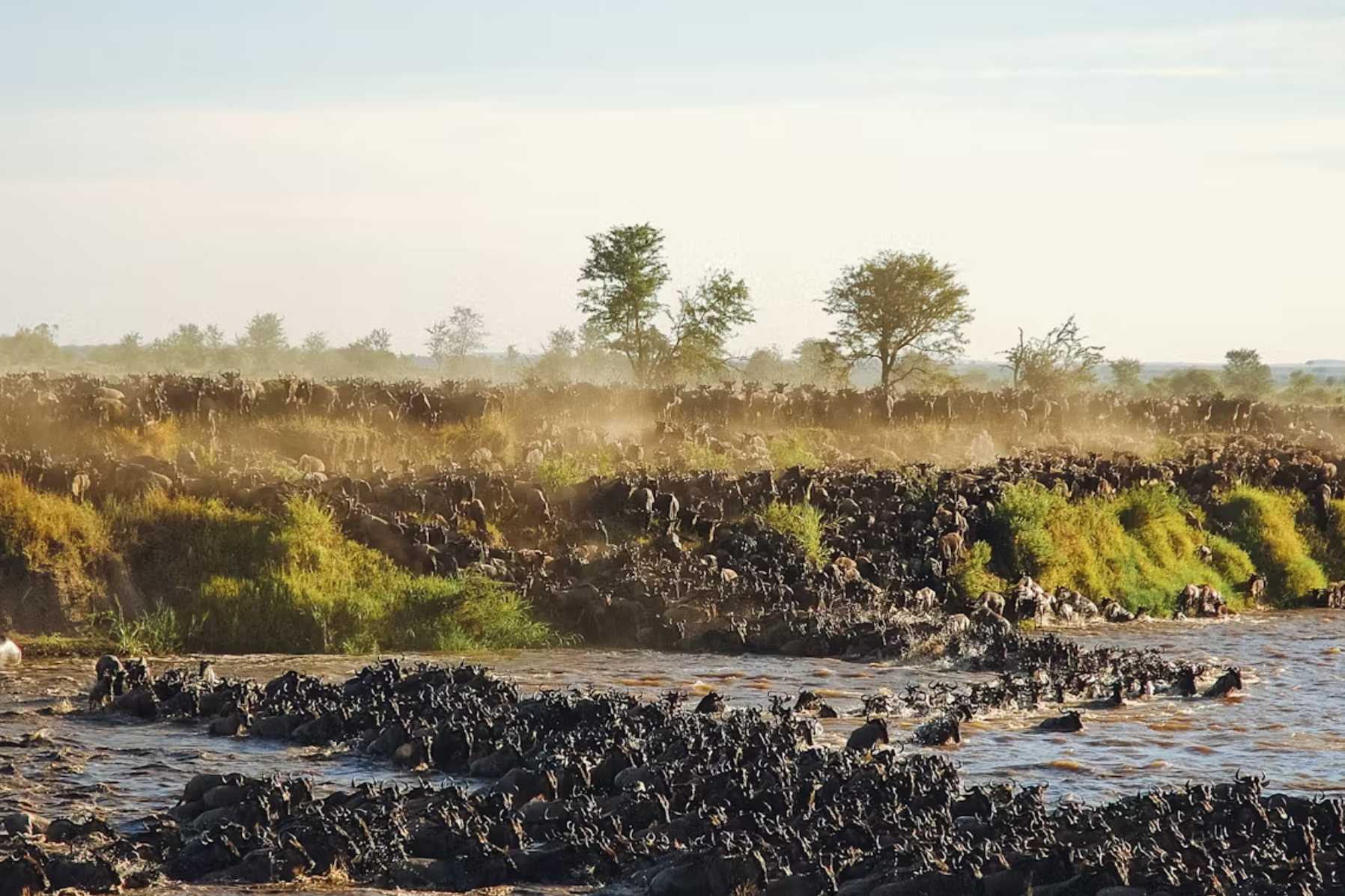 great migration kenya