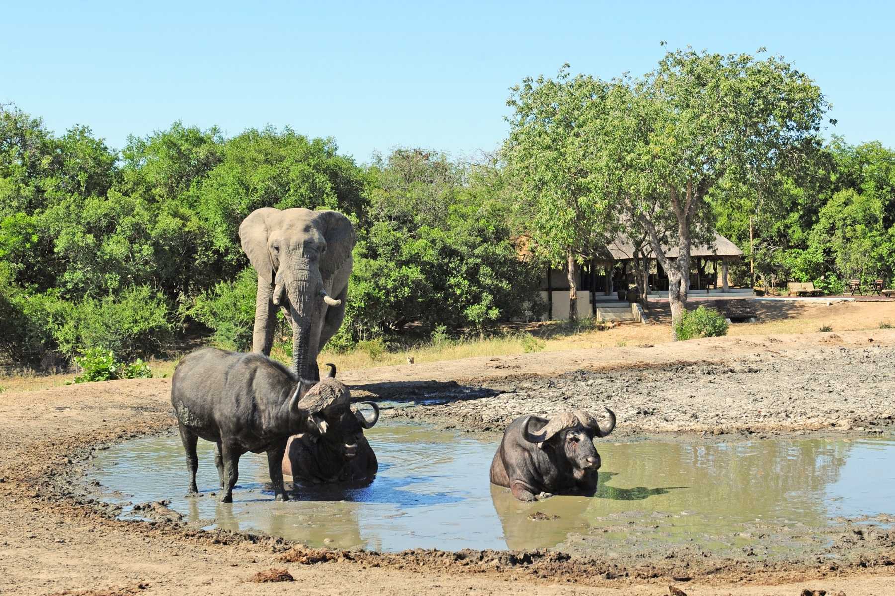 private game reserves kruger