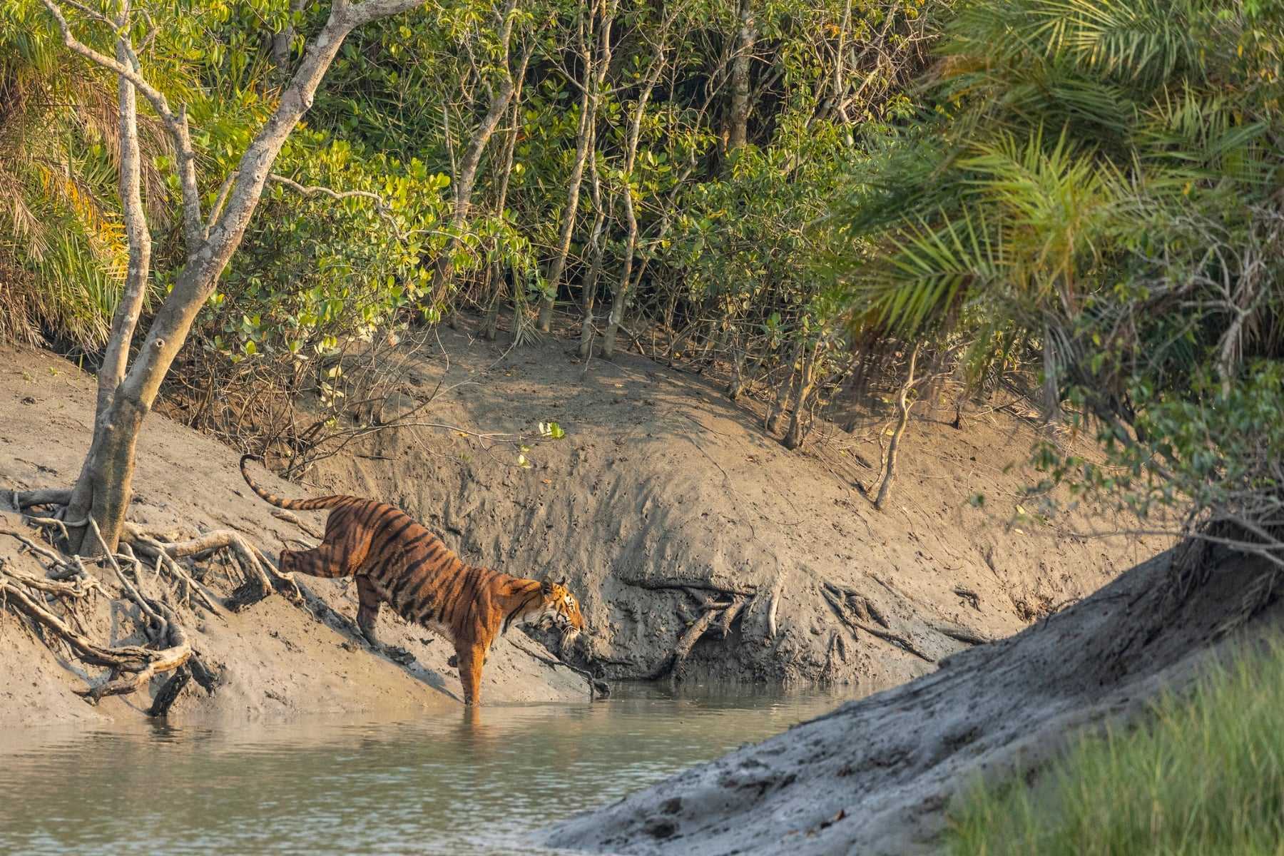 safari destinations outside Africa