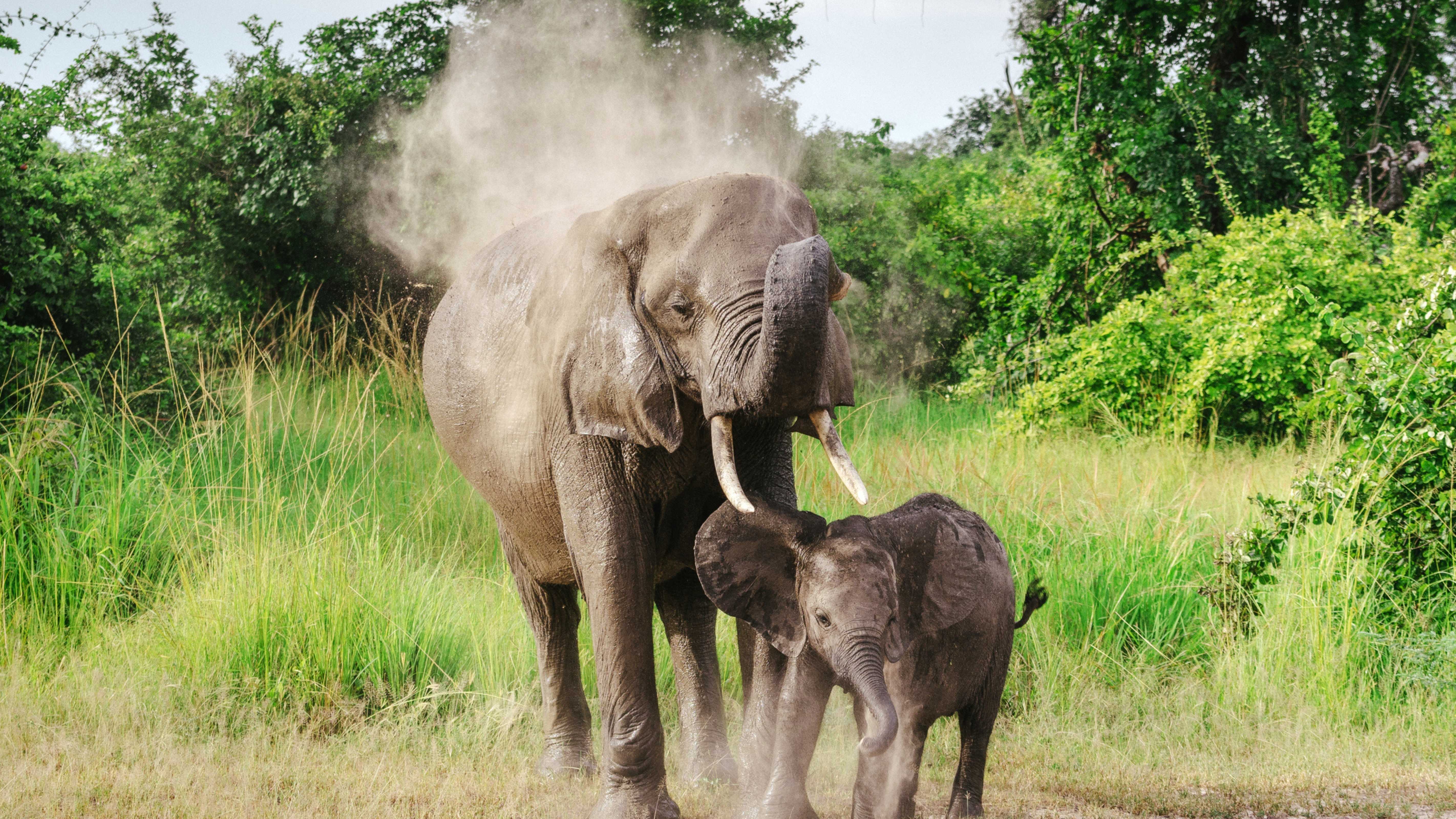 Jonty explores Zambia & Malawi