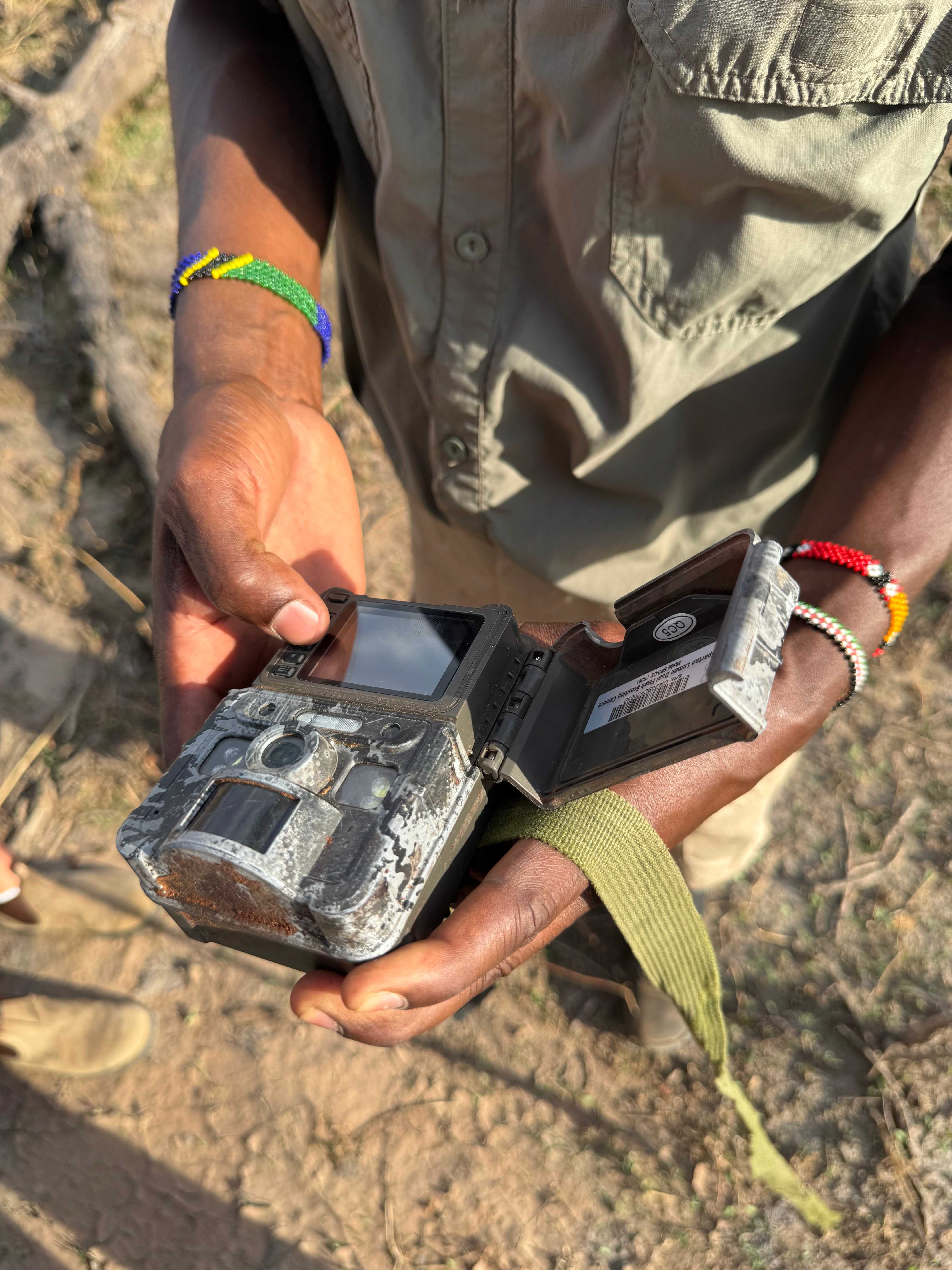 Southern Tanzania safari