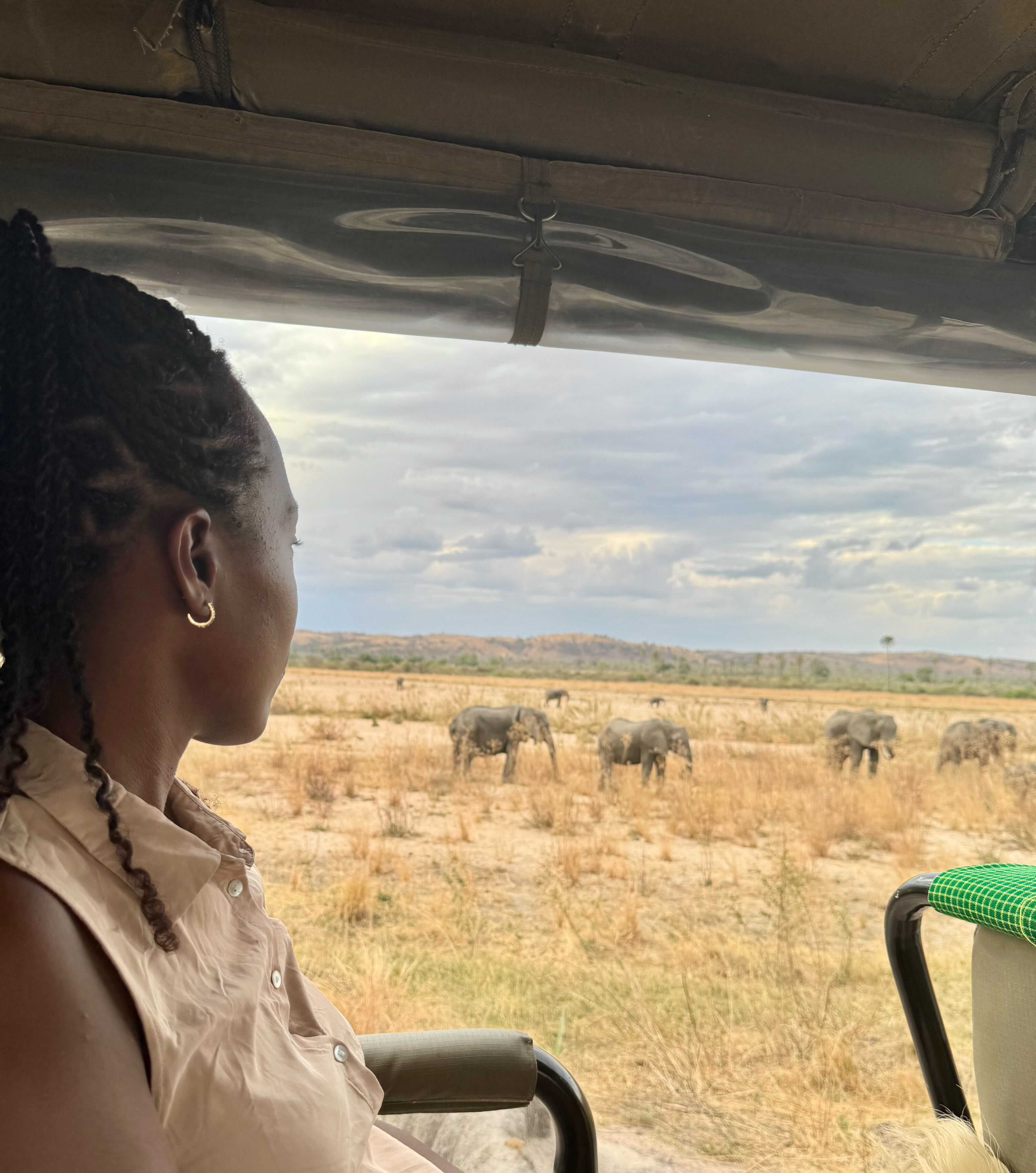 Southern Tanzania safari