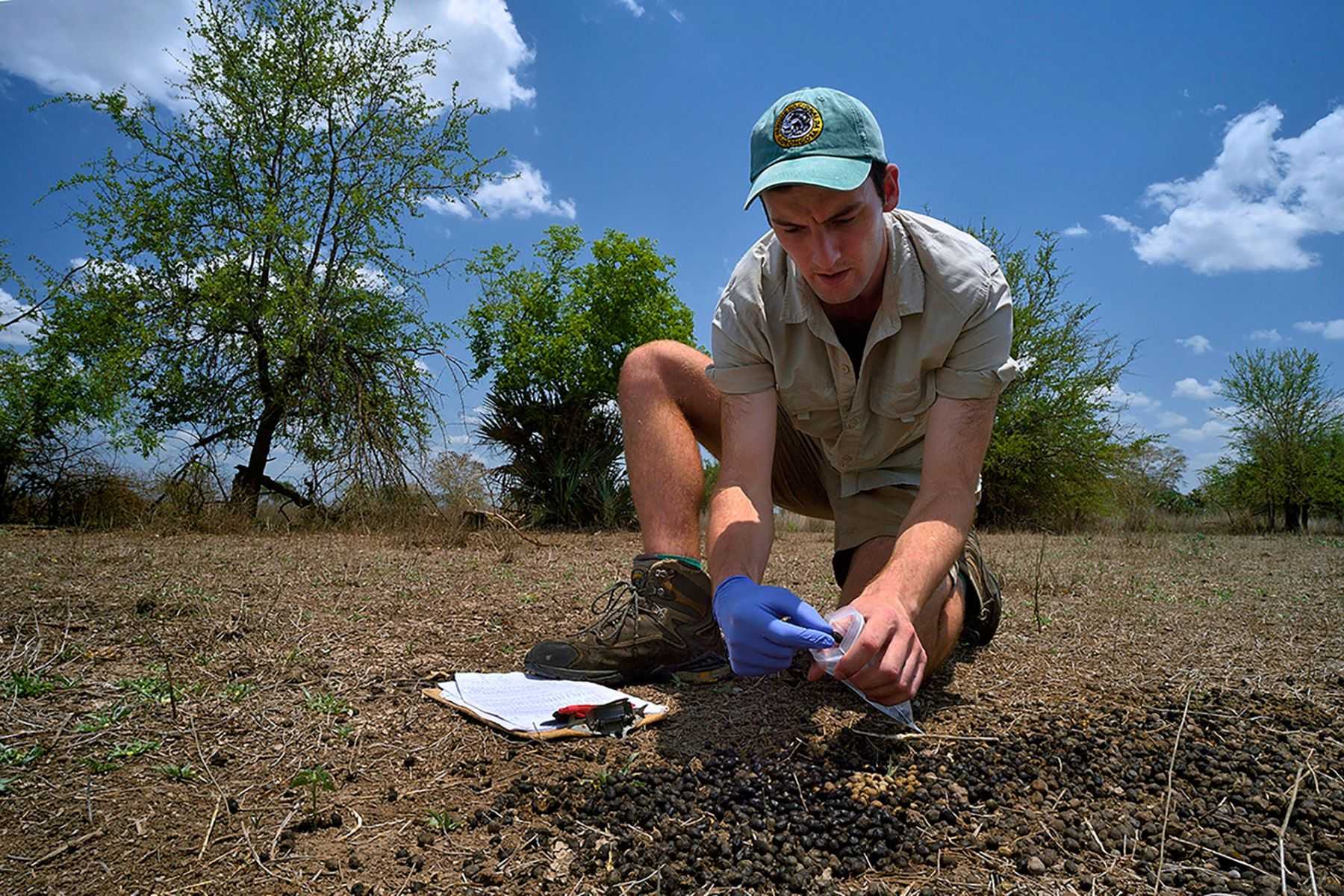 A researcher conducting fieldwork in Gorongosa National Park