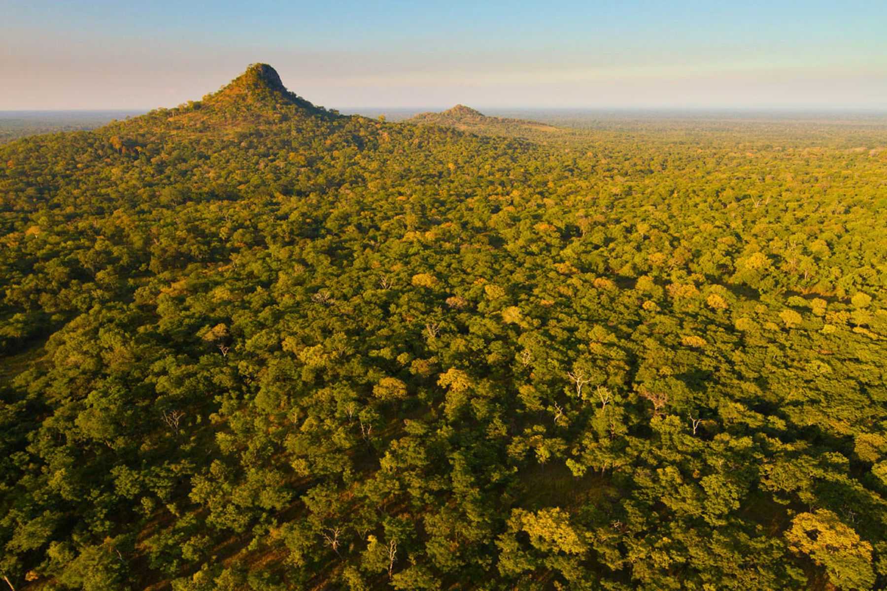 One of the many landscapes in Gorongosa National Park