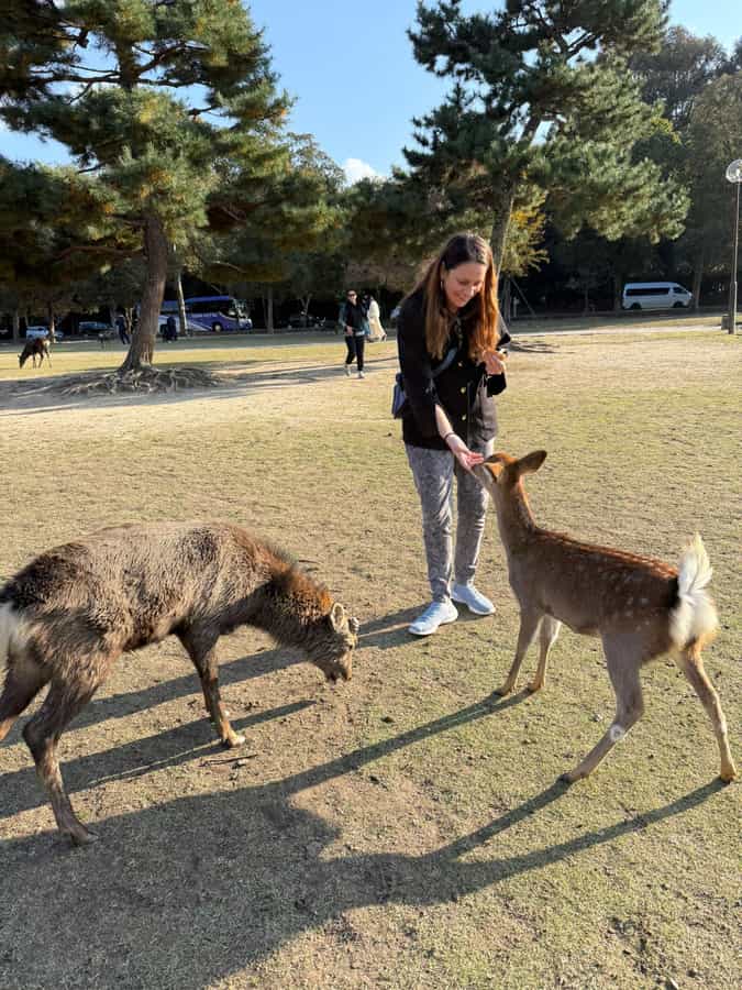 Jessica video thumbnail