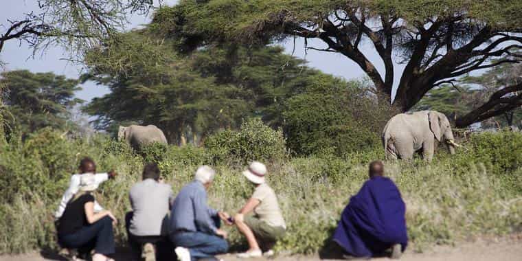 Walk escorted by Masais