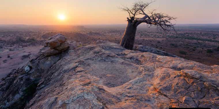 Mashatu Game Reserve