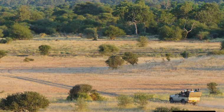 The quintessential exclusive safari