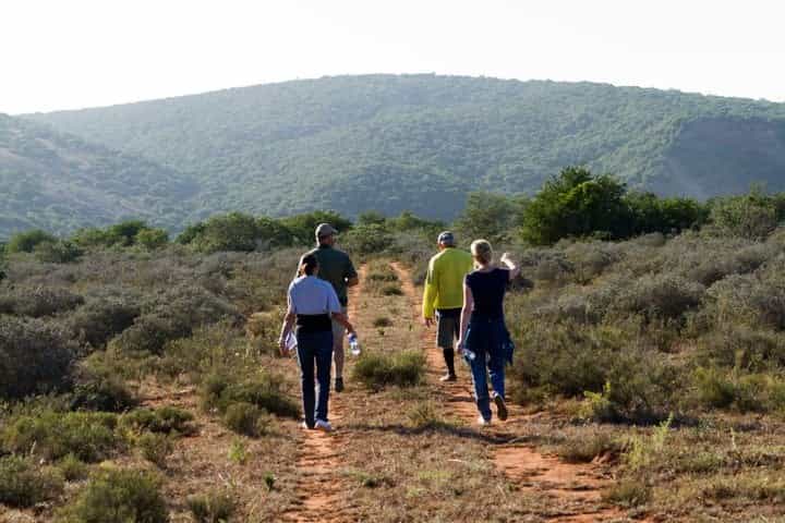 Guests love our bush walks