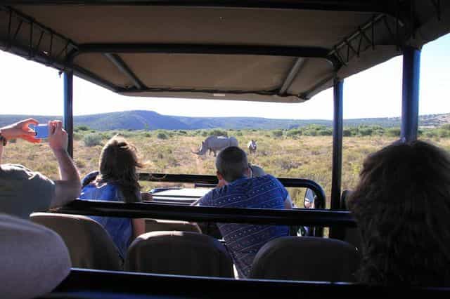 Enjoying the safari life