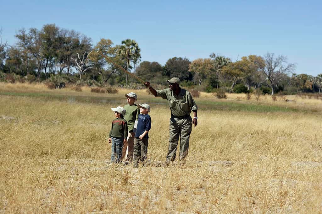 Kids with their guide - bush walk