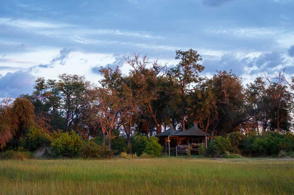Guest tent looking out over the floodplain