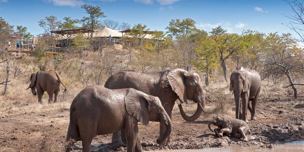 The Elephant Camp Main Lodge Exterior as viewed from the waterhole below camp
