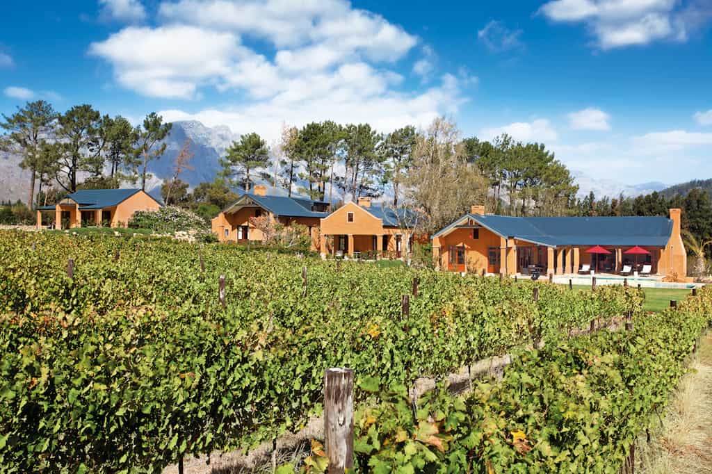Vineyards with the suites in the background