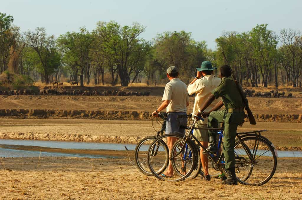 Cycling safari