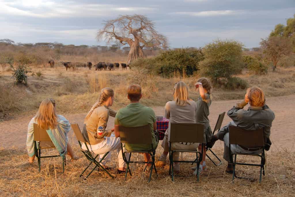 Far from teh madding crowds of the northern circuit, experience a true authentic safari experience