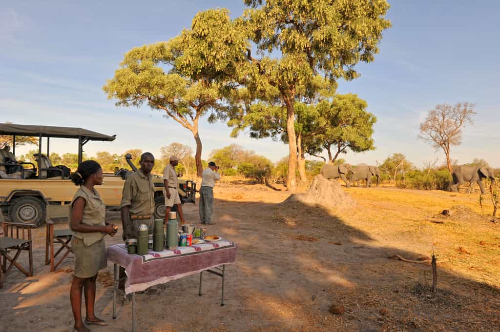 Tea and Coffee break during the morning game drive at Khwai Tented Camp