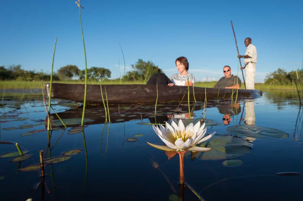 Mekoro boating along the clear channels
