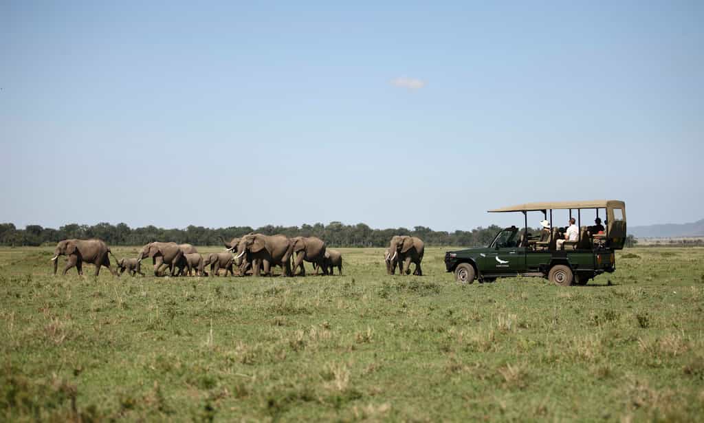 Game Drive