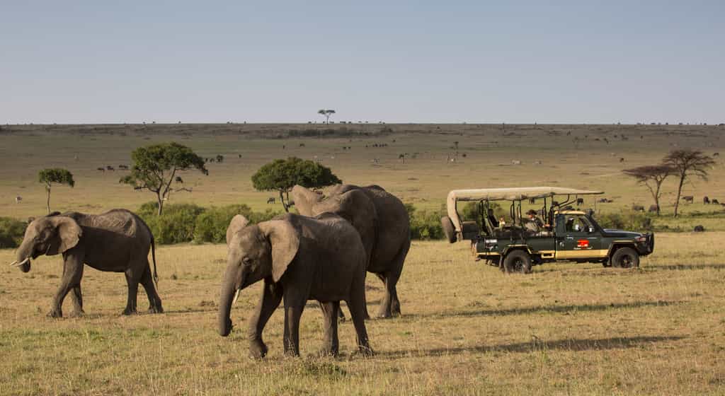 Thrilling game drives in custom 4x4 vehicles through the wilderness of the Masai Mara.