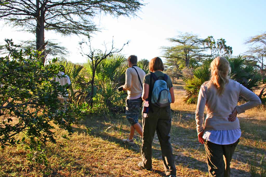A walking safari from flycamping, in the early morning.