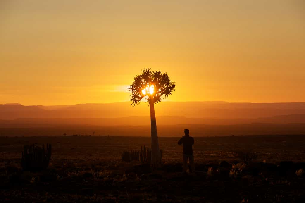 Sunset over the canyon 