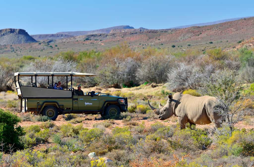 Game drives
