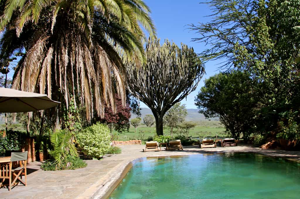 The pool area is a great and relaxing place to be while viewing wildlife passing by at the Sanctuary