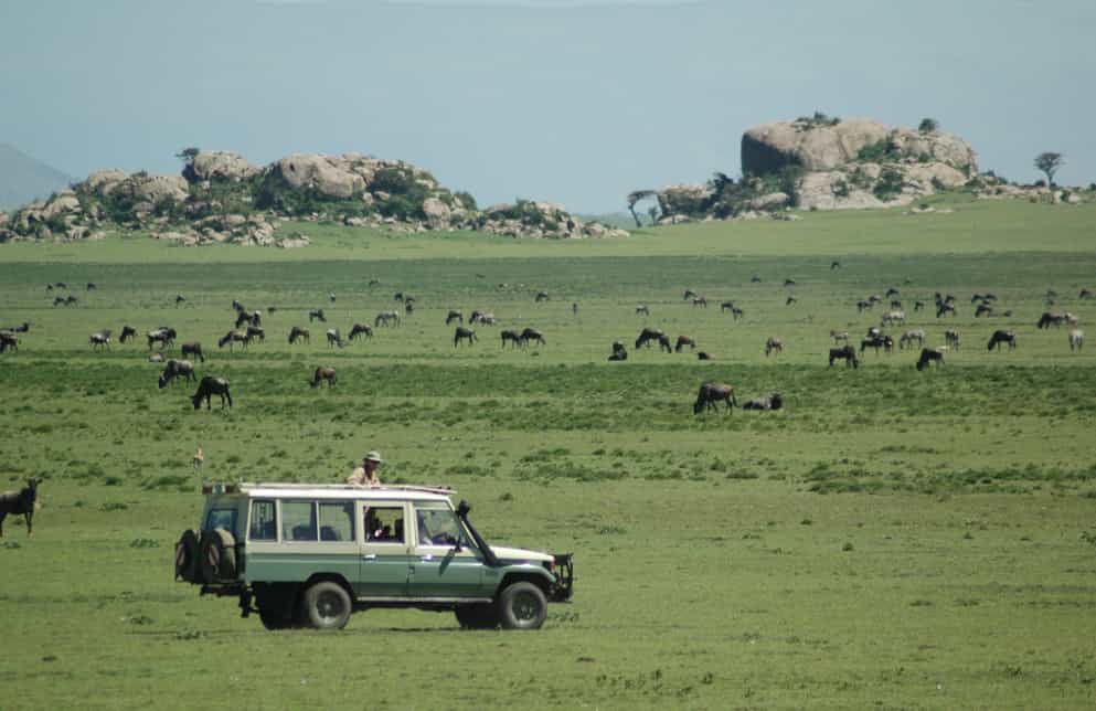 When the wildebeest herds leave, we have the place pretty much to ourselves.  The resident game heaves a sigh of relief. This is the time to see the Serengeti in wild splendour, dramatic landscapes and a good chance of spotting the Big Five, among much more.