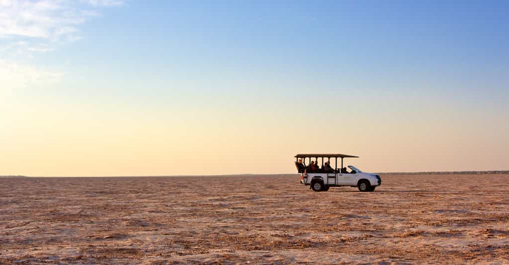 Open desert wilderness 