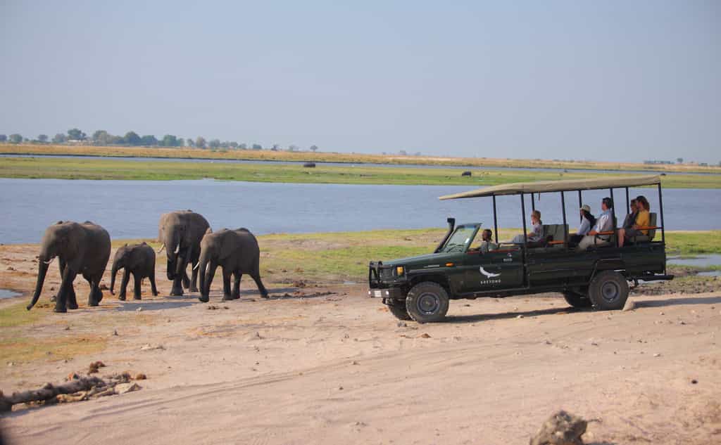 Game Drive at Chobe Under Canvas