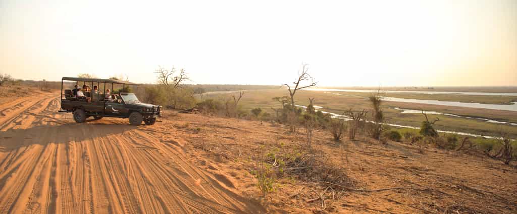 Game Drive at Chobe Under Canvas
