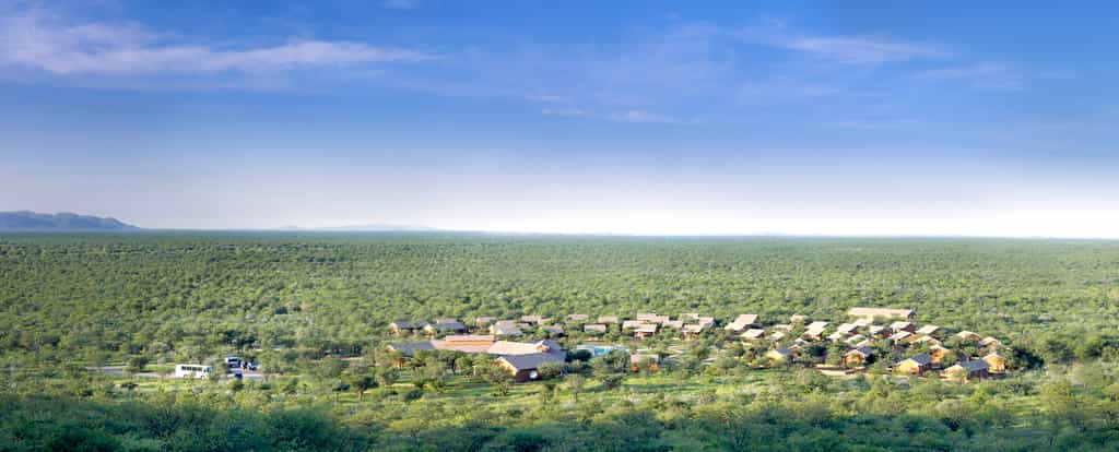 The lodge is beautifully integrated into the landscape.