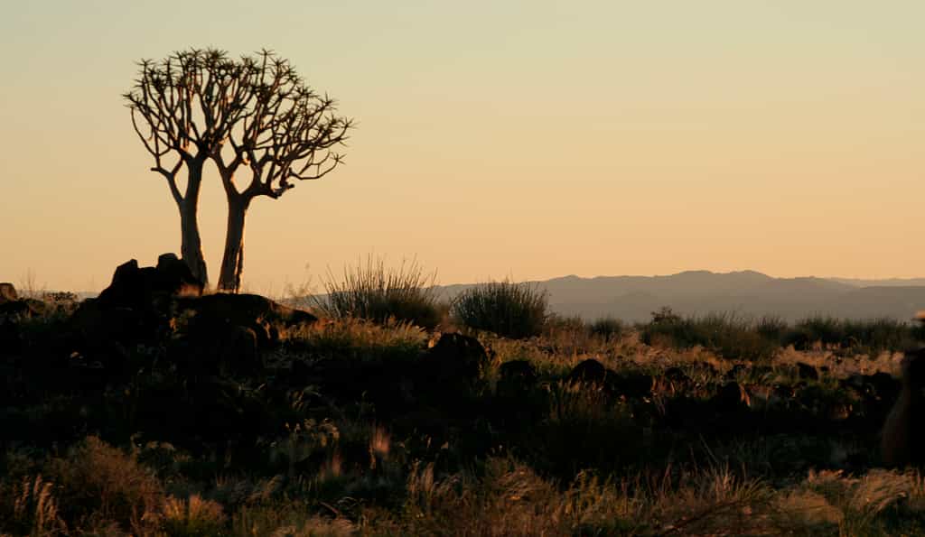 The beautiful landscape around Canyon Lodge.
