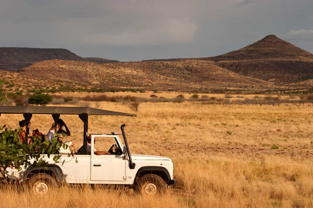 Game Drives in open Land Rover Gameviewers