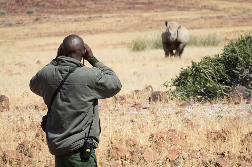 Black rhino tracking