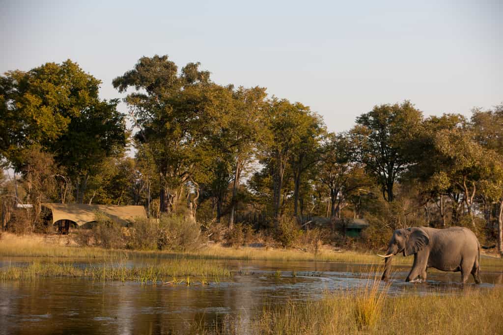 Looking across the Selinda Spillway at the main area