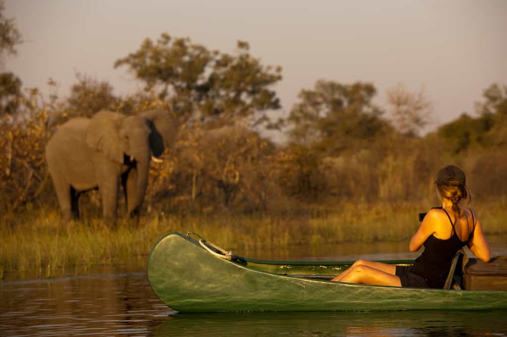 Elephant viewing from canoe is but one activity available to guests