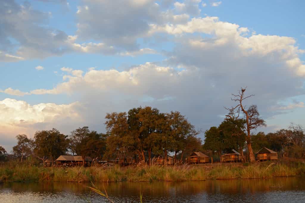 The camp seen from the Linyanti marsh