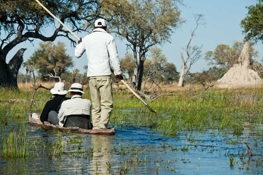 Enjoy the traditional dug-out canoe of the swamps