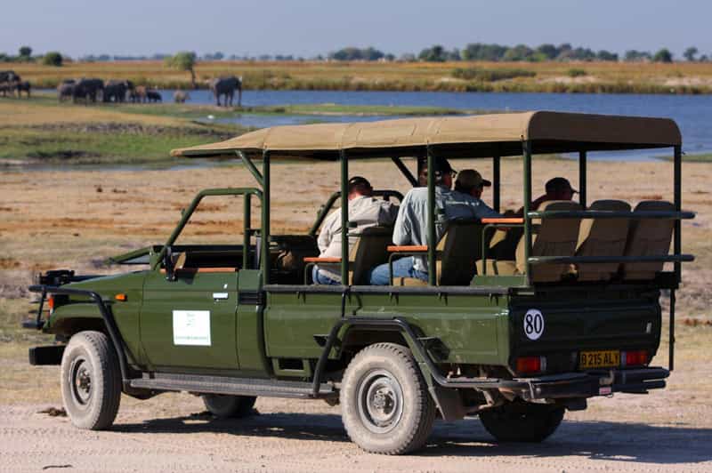 On safari on the banks of the Chobe River