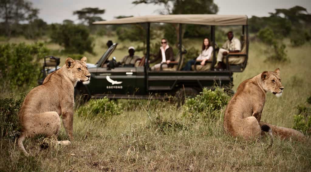 Game Drive at klein's Camp