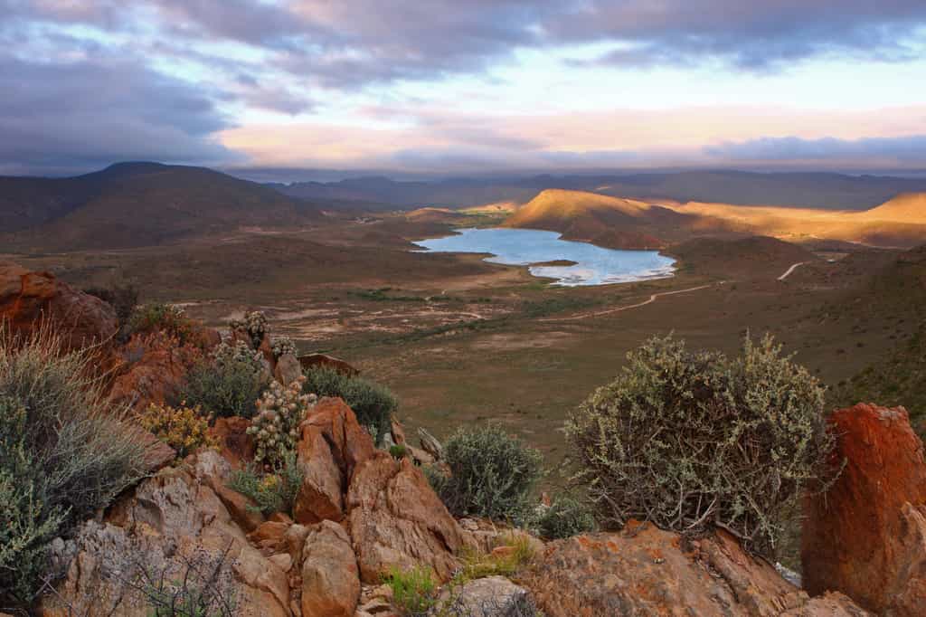Sanbona Landscapes