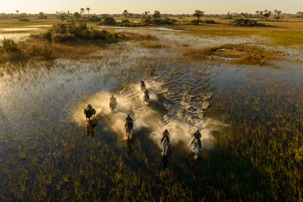 Water canter across the open floodplains of the Okavango Delta.