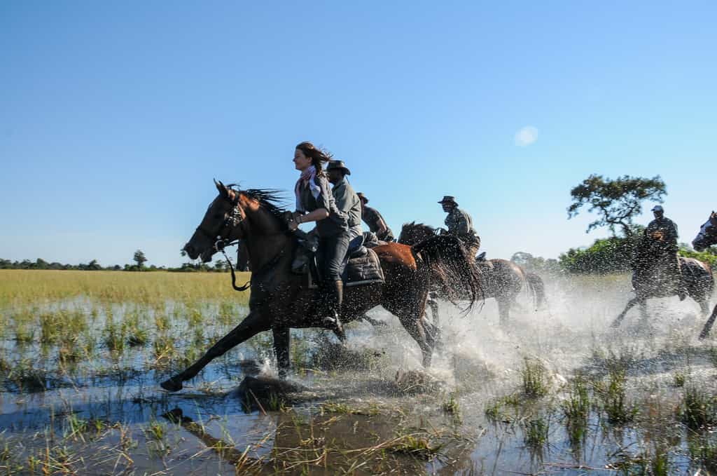 One of the Macatoo favorites, Loxley, splashing through the floodplain