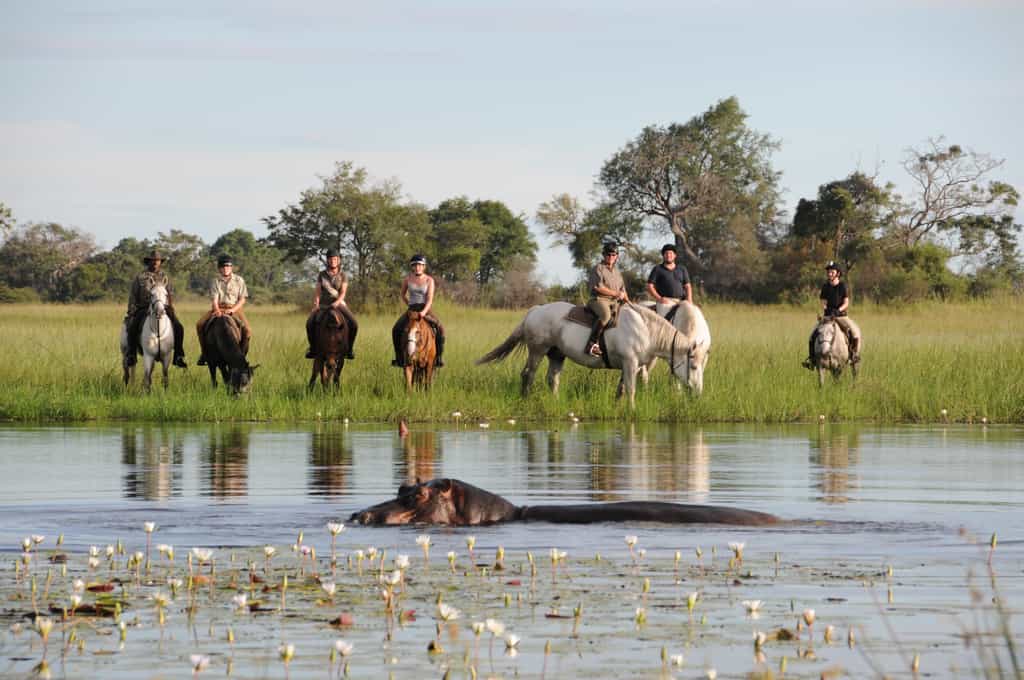 British event rider Mary King and her family at Hippo pool