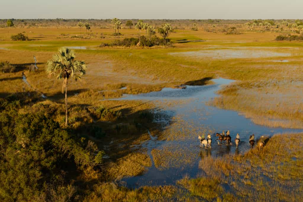 Guests have 450,000 acres of pristine wilderness of the Okavango Delta to explore