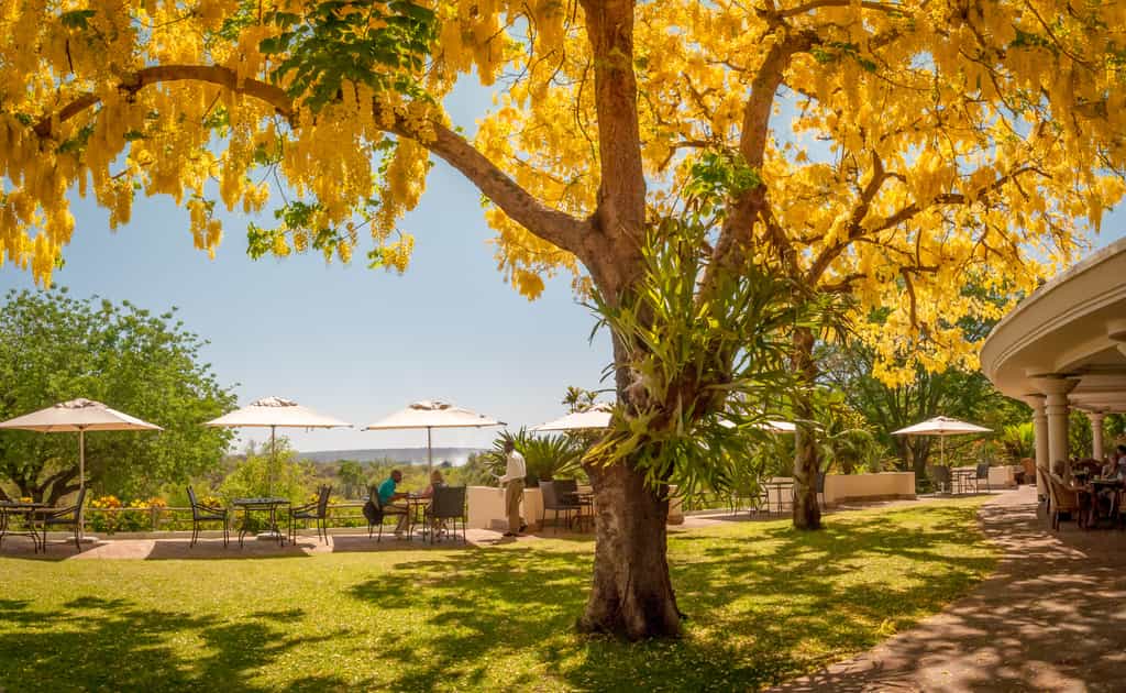 View of the Victoria Falls spray from The Palm Restaurant