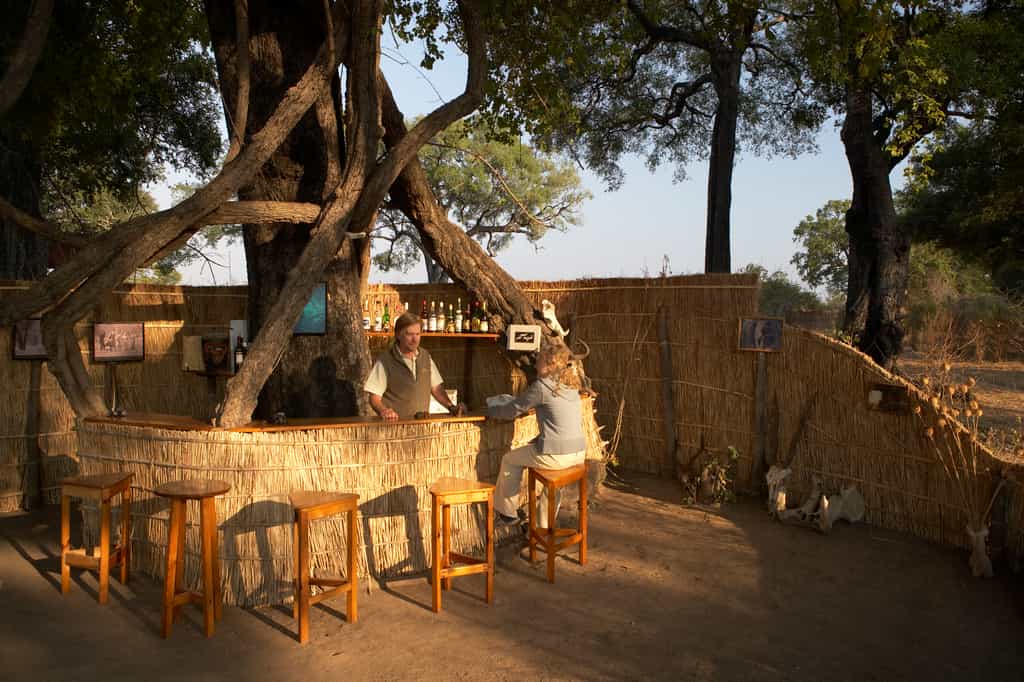 Mwamba's Bar area is built beneath African Ebony Trees