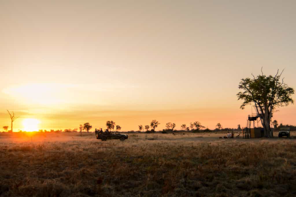 The sunsets in front of the platform are breathtaking